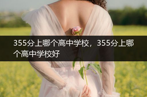 355分上哪个高中学校，355分上哪个高中学校好