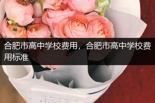 合肥市高中学校费用，合肥市高中学校费用标准