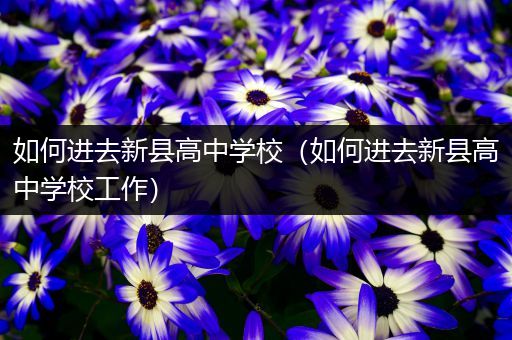 如何进去新县高中学校（如何进去新县高中学校工作）