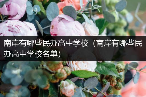 南岸有哪些民办高中学校（南岸有哪些民办高中学校名单）