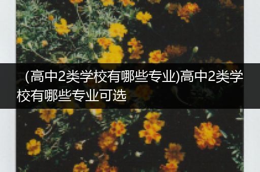 （高中2类学校有哪些专业)高中2类学校有哪些专业可选