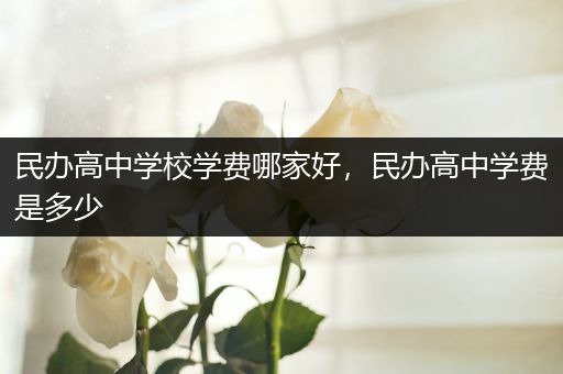 民办高中学校学费哪家好，民办高中学费是多少