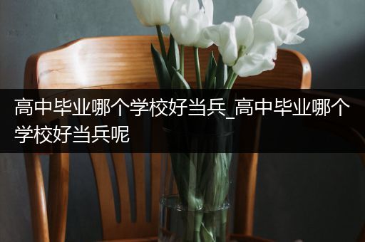 高中毕业哪个学校好当兵_高中毕业哪个学校好当兵呢