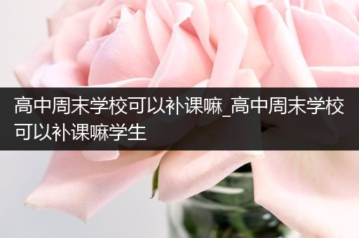 高中周末学校可以补课嘛_高中周末学校可以补课嘛学生