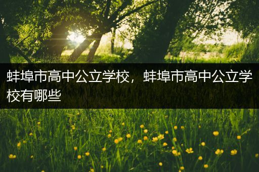 蚌埠市高中公立学校，蚌埠市高中公立学校有哪些