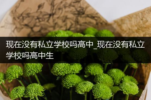 现在没有私立学校吗高中_现在没有私立学校吗高中生