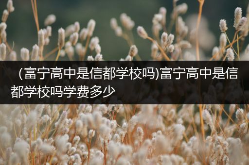 （富宁高中是信都学校吗)富宁高中是信都学校吗学费多少