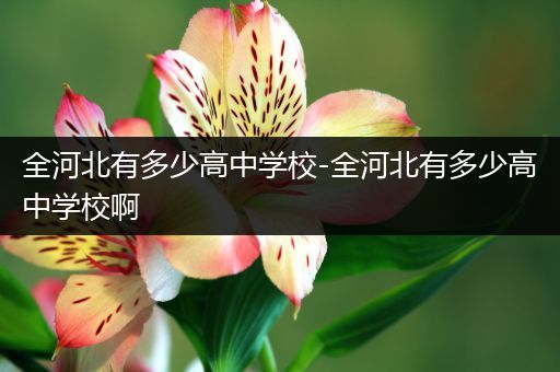 全河北有多少高中学校-全河北有多少高中学校啊