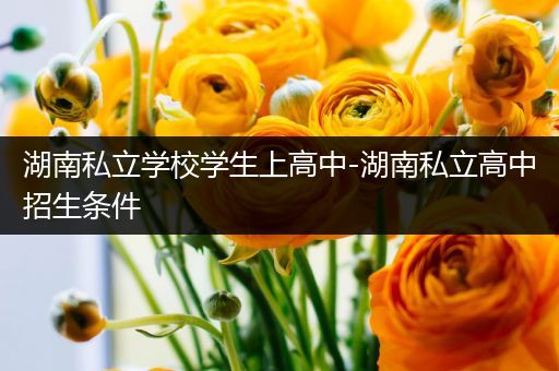湖南私立学校学生上高中-湖南私立高中招生条件