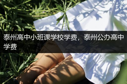 泰州高中小班课学校学费，泰州公办高中学费