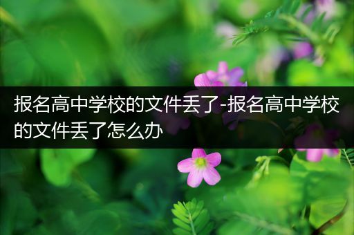 报名高中学校的文件丢了-报名高中学校的文件丢了怎么办