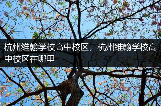 杭州维翰学校高中校区，杭州维翰学校高中校区在哪里