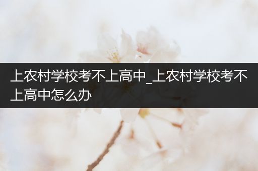 上农村学校考不上高中_上农村学校考不上高中怎么办