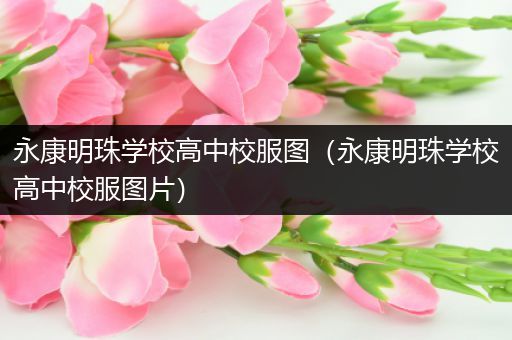 永康明珠学校高中校服图（永康明珠学校高中校服图片）