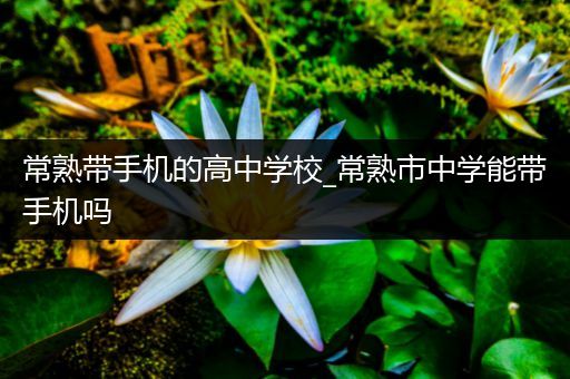 常熟带手机的高中学校_常熟市中学能带手机吗