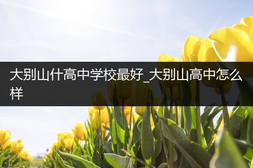 大别山什高中学校最好_大别山高中怎么样