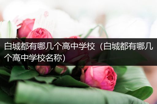 白城都有哪几个高中学校（白城都有哪几个高中学校名称）