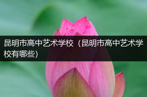 昆明市高中艺术学校（昆明市高中艺术学校有哪些）