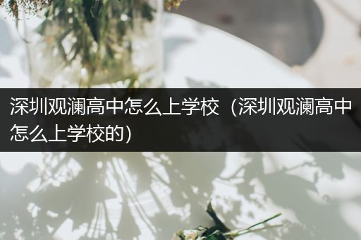 深圳观澜高中怎么上学校（深圳观澜高中怎么上学校的）