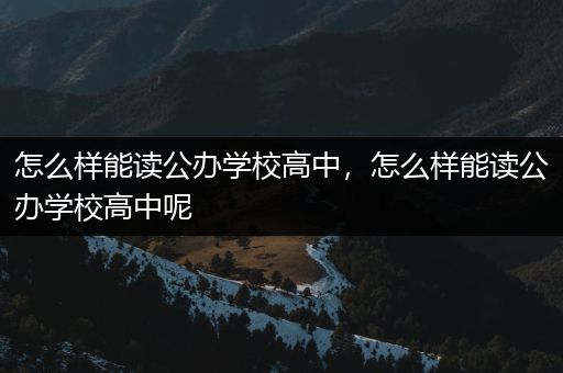 怎么样能读公办学校高中，怎么样能读公办学校高中呢