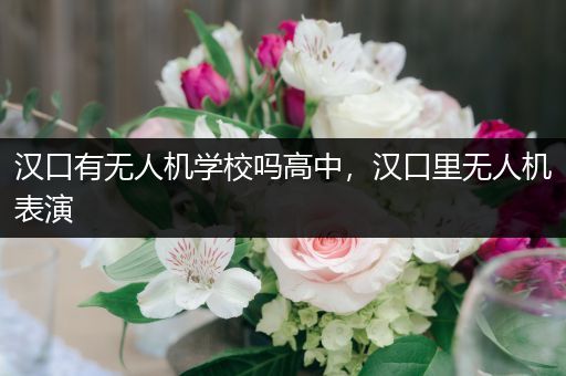 汉口有无人机学校吗高中，汉口里无人机表演