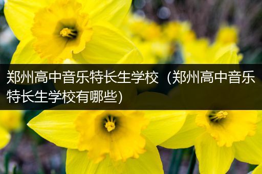 郑州高中音乐特长生学校（郑州高中音乐特长生学校有哪些）