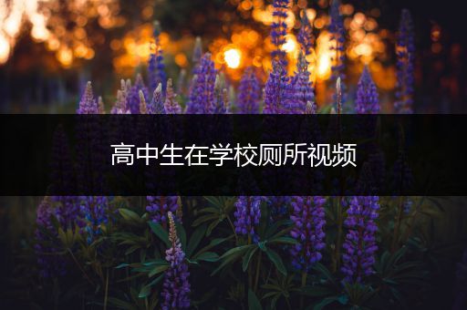 高中生在学校厕所视频