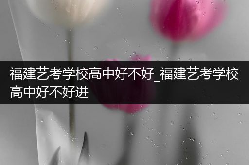 福建艺考学校高中好不好_福建艺考学校高中好不好进
