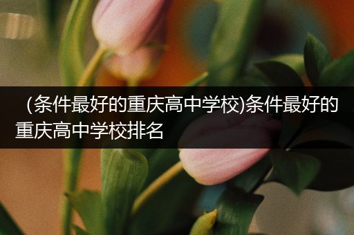 （条件最好的重庆高中学校)条件最好的重庆高中学校排名