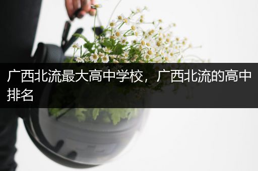 广西北流最大高中学校，广西北流的高中排名