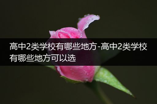 高中2类学校有哪些地方-高中2类学校有哪些地方可以选