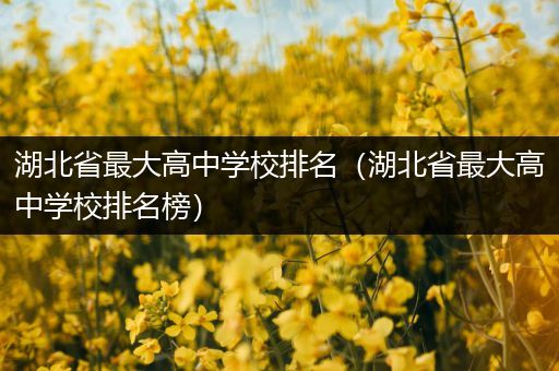 湖北省最大高中学校排名（湖北省最大高中学校排名榜）