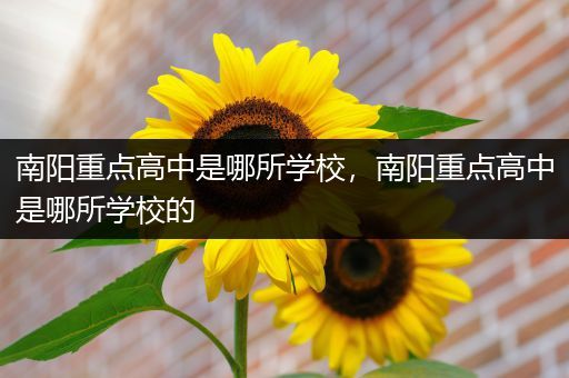 南阳重点高中是哪所学校，南阳重点高中是哪所学校的