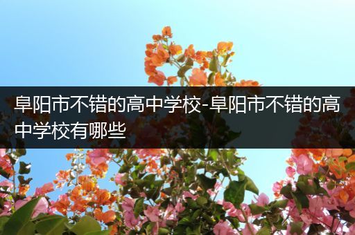 阜阳市不错的高中学校-阜阳市不错的高中学校有哪些