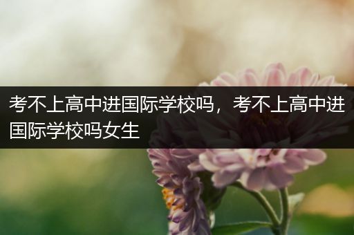 考不上高中进国际学校吗，考不上高中进国际学校吗女生