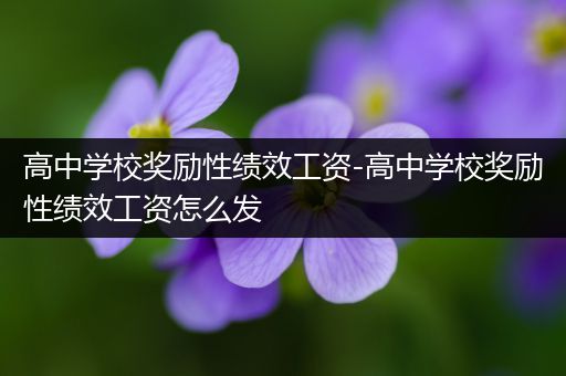 高中学校奖励性绩效工资-高中学校奖励性绩效工资怎么发