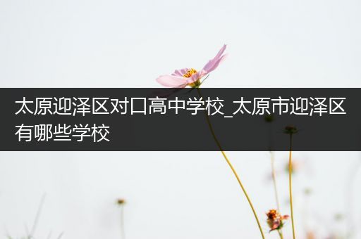 太原迎泽区对口高中学校_太原市迎泽区有哪些学校