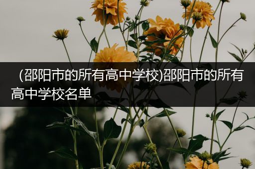 （邵阳市的所有高中学校)邵阳市的所有高中学校名单