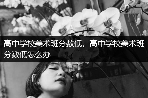 高中学校美术班分数低，高中学校美术班分数低怎么办
