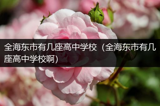 全海东市有几座高中学校（全海东市有几座高中学校啊）