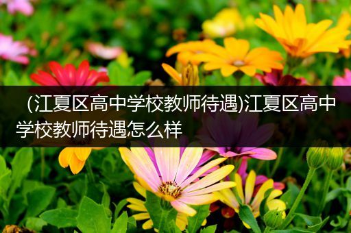 （江夏区高中学校教师待遇)江夏区高中学校教师待遇怎么样