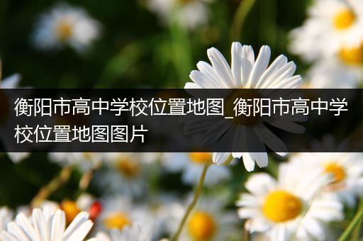 衡阳市高中学校位置地图_衡阳市高中学校位置地图图片