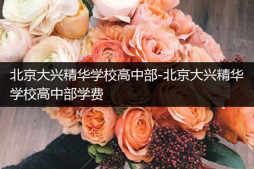 北京大兴精华学校高中部-北京大兴精华学校高中部学费