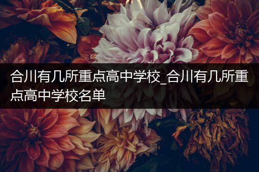 合川有几所重点高中学校_合川有几所重点高中学校名单