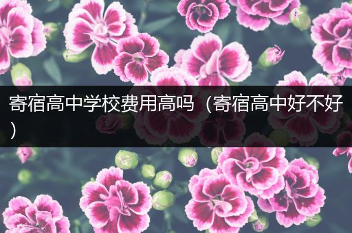 寄宿高中学校费用高吗（寄宿高中好不好）