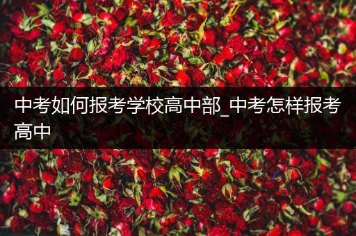中考如何报考学校高中部_中考怎样报考高中