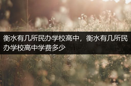 衡水有几所民办学校高中，衡水有几所民办学校高中学费多少