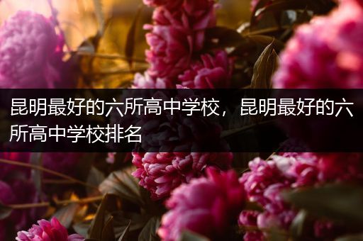 昆明最好的六所高中学校，昆明最好的六所高中学校排名