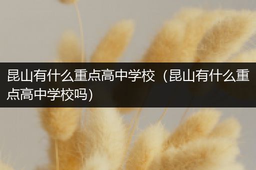 昆山有什么重点高中学校（昆山有什么重点高中学校吗）