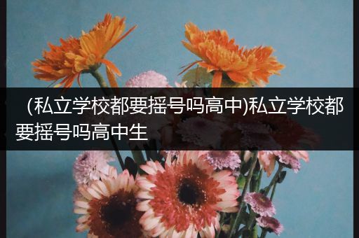 （私立学校都要摇号吗高中)私立学校都要摇号吗高中生